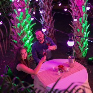 Festoon Lights Coloured - 15m String